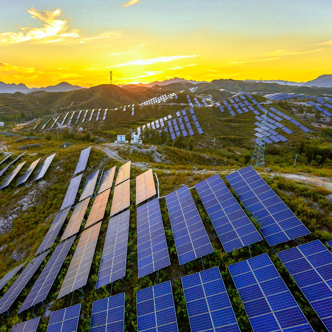 Advancements in Perovskite Solar Cell Technology: The Future of ...