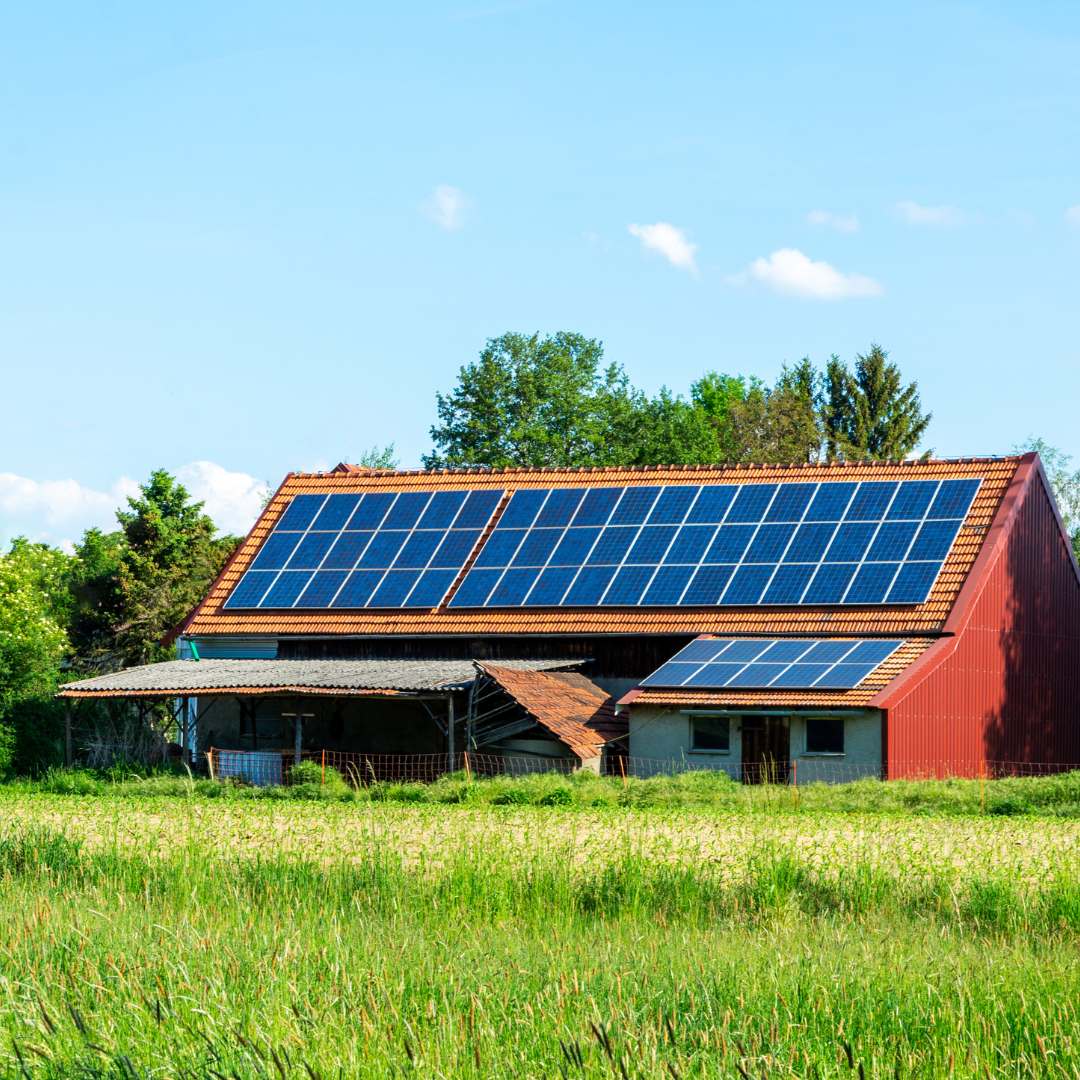 Utilizing Solar Power in Vertical Farming: Towards Sustainable Urban Agriculture