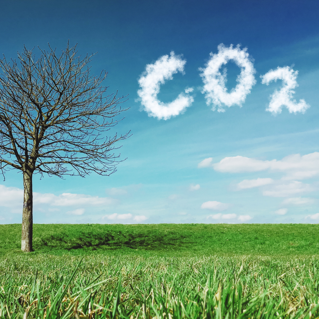 Carbon Dioxide Separation Technology: A Step Towards a Greener Future
