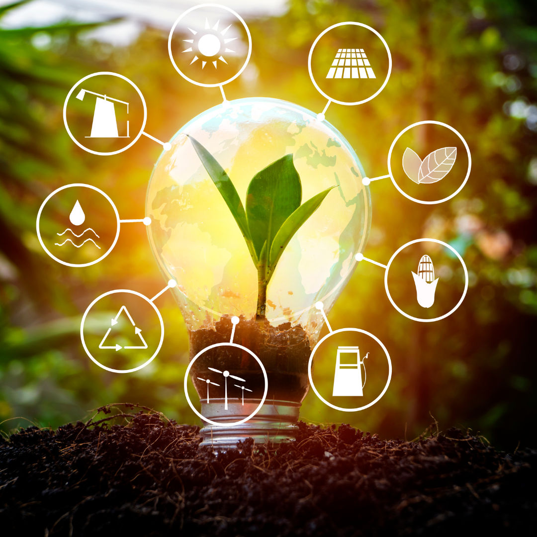 Combination of Solar and Biomass Energy: The Perfect Synergy for Hybrid Power Generation