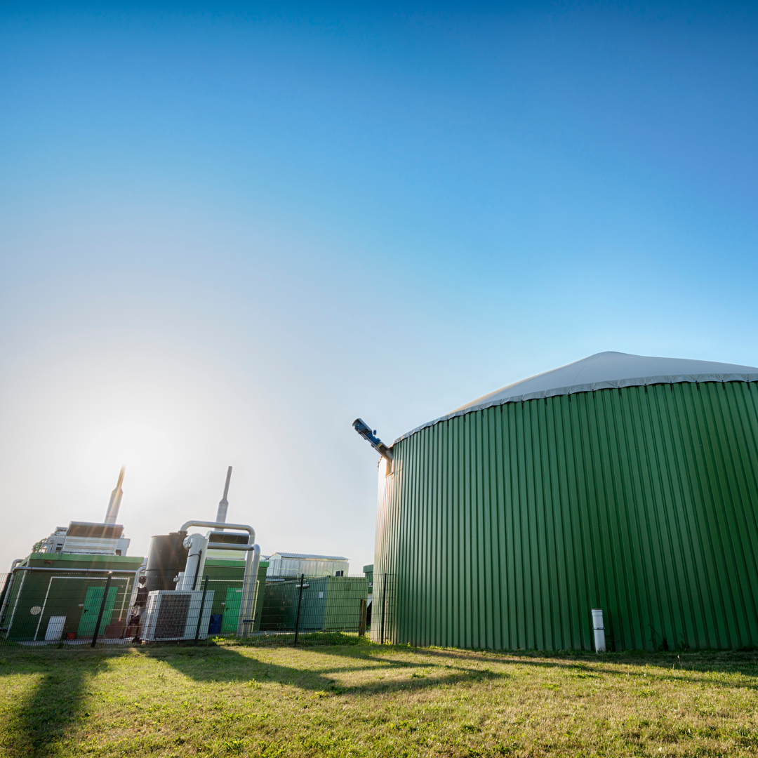 Bioenergy Potential from Industrial Plantation Forests: The Future of Sustainable Energy