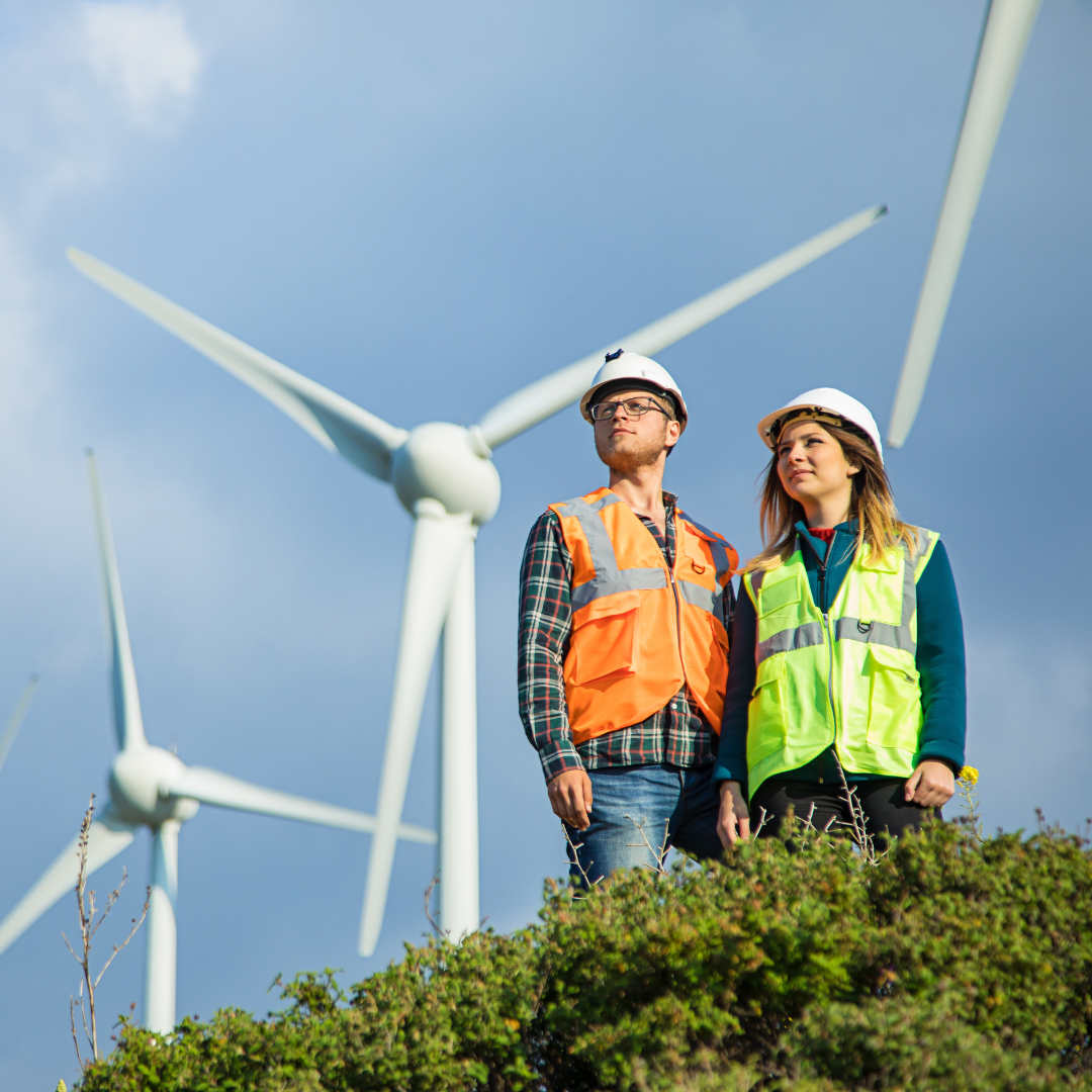 Financing Challenges for Renewable Energy Projects in Developing Countries