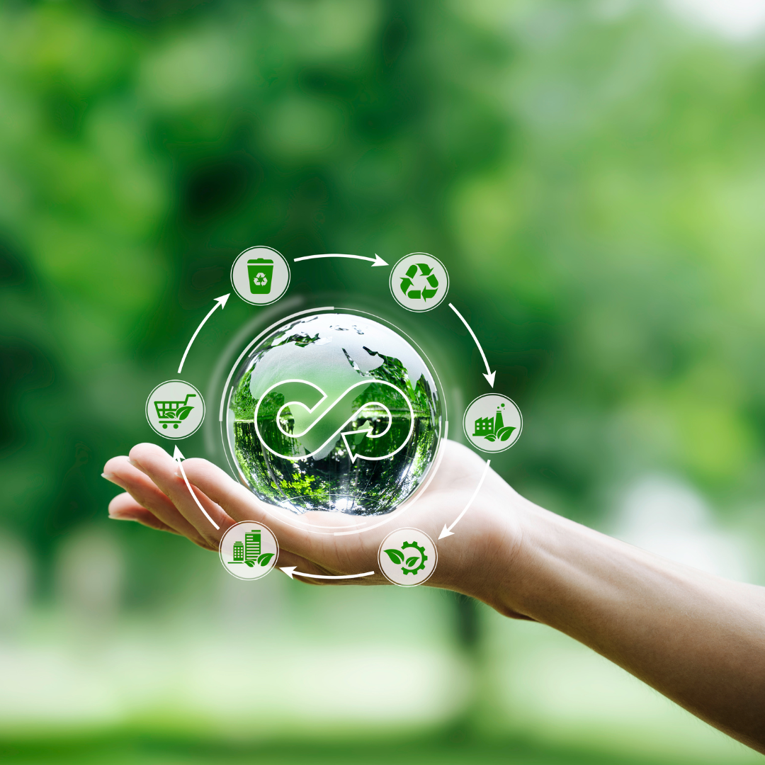 Renewable Energy in the Context of a Circular Economy: Moving Toward a Sustainable Future