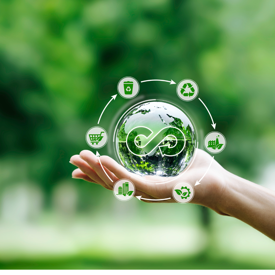 Carbon Emission Reduction Strategies: Concrete Steps Toward a Greener Future