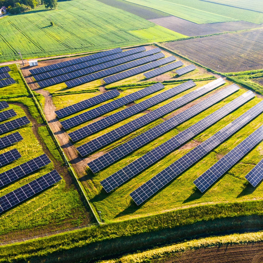 Comparison of Renewable Energy Policies: Developed vs Developing Countries, Who is Ahead?