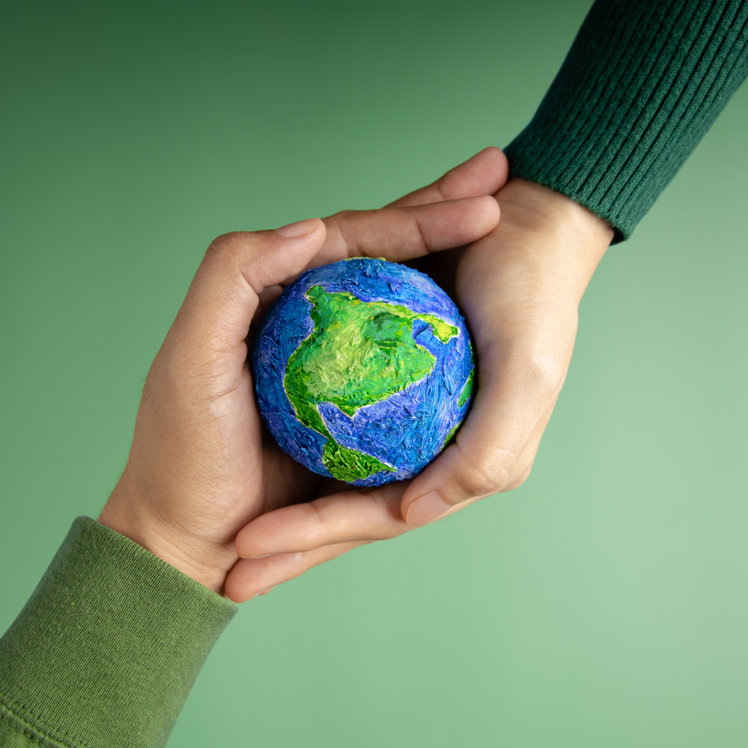Renewable Energy and Business Innovation: Building a Sustainable Future