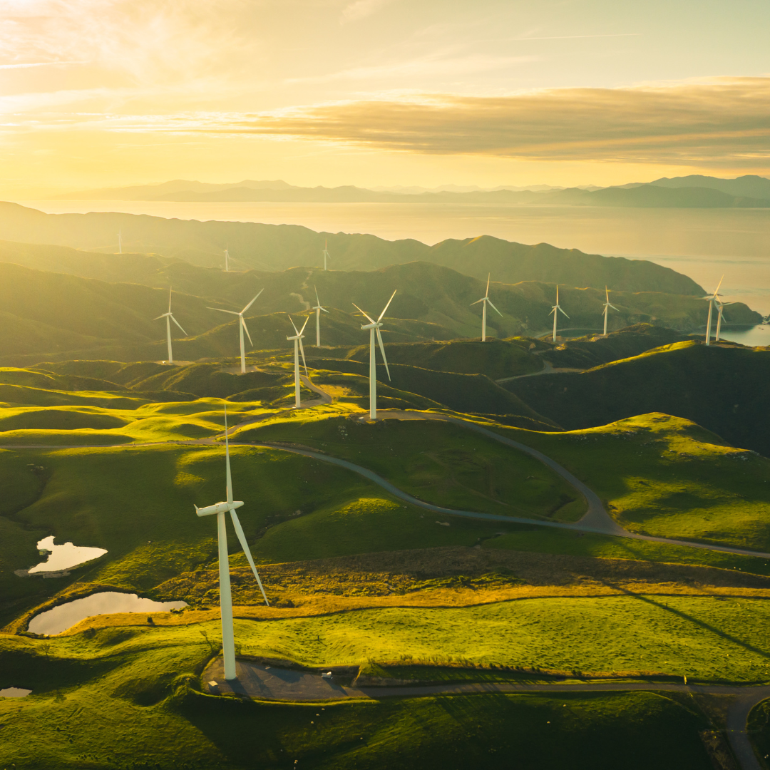 Renewable Energy and Habitat Restoration: Synergy for a Better Future