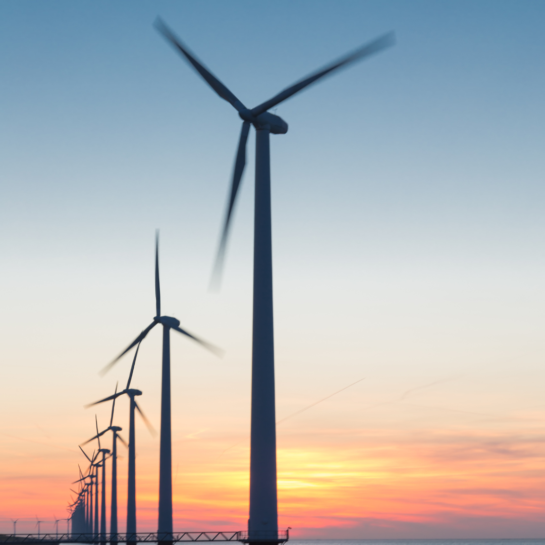 The Use of Renewable Energy in Ports: Towards Green Ports