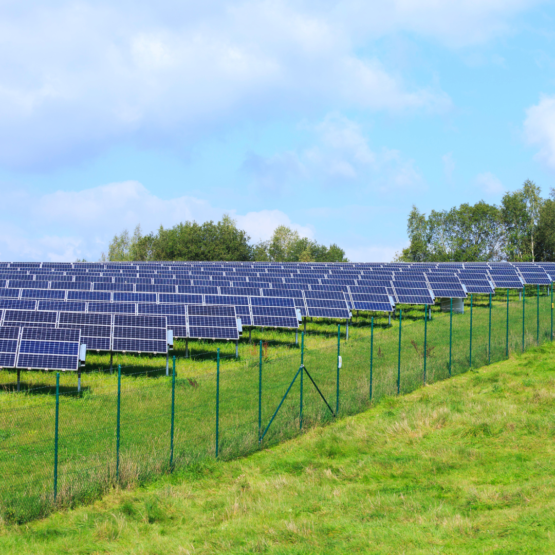 The Potential of Solar Energy in the Agricultural Sector: Towards Sustainable Farming