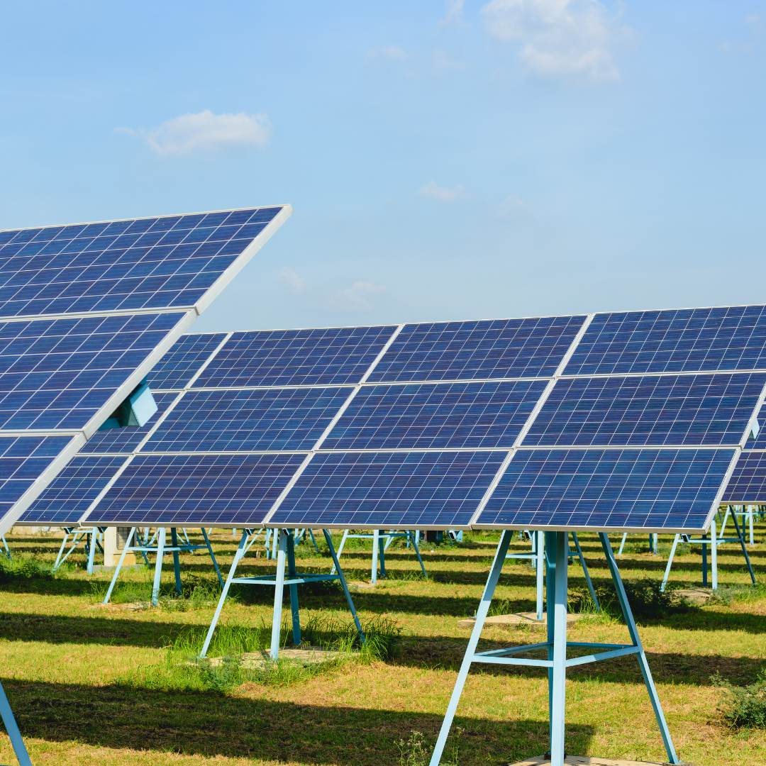 Impact of Renewable Energy Infrastructure on Local Ecosystems: Between Benefits and Challenges